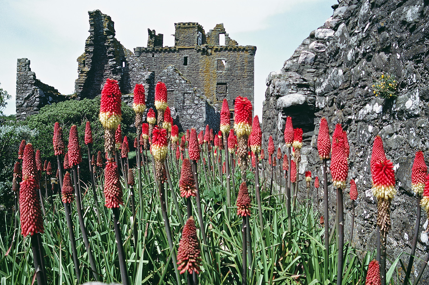 1989 Schottland Dunnottar Castle