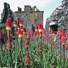 1989 Schottland Dunnottar Castle