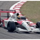 1991 Spa: Ayrton Senna auf dem Weg zum Sieg