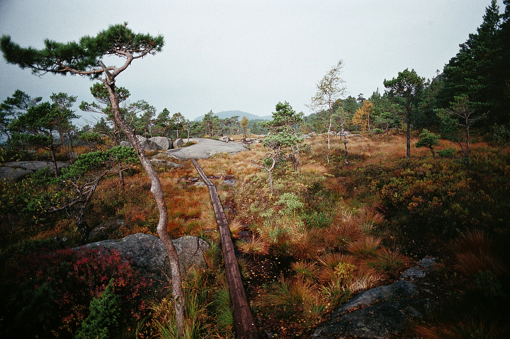 1992 Norwegen