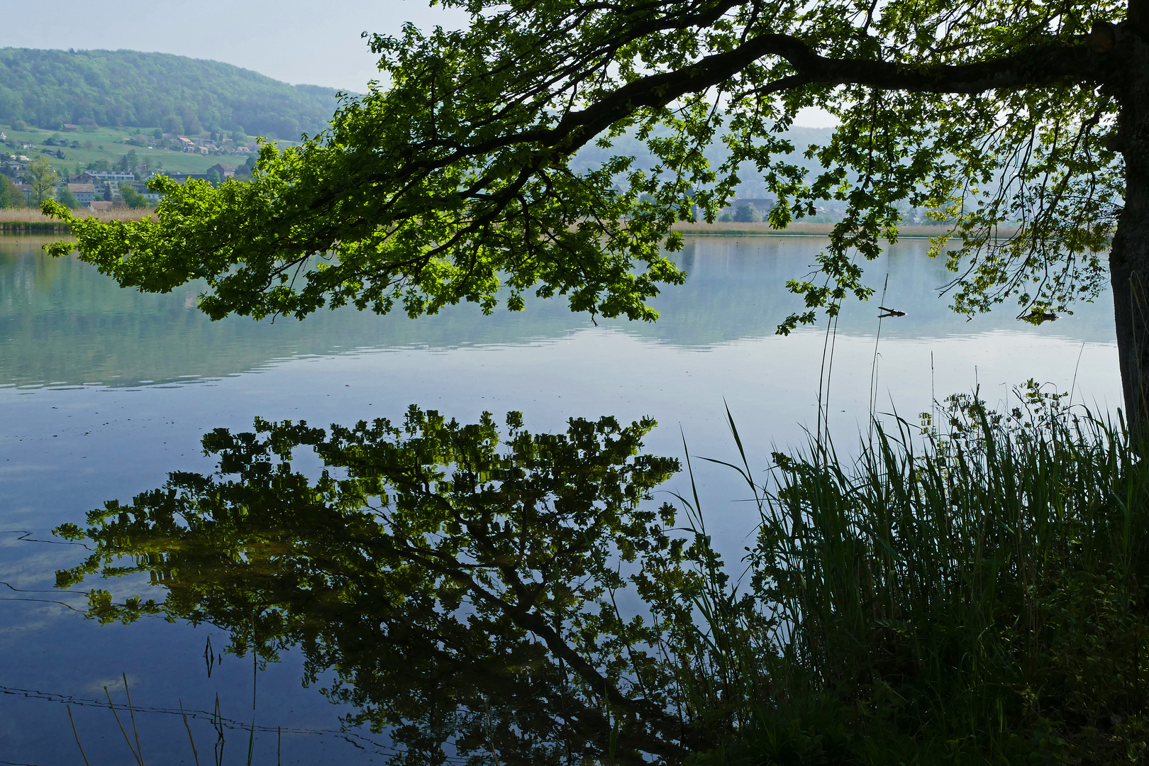 19_Klingnau Stausee 01 (101)