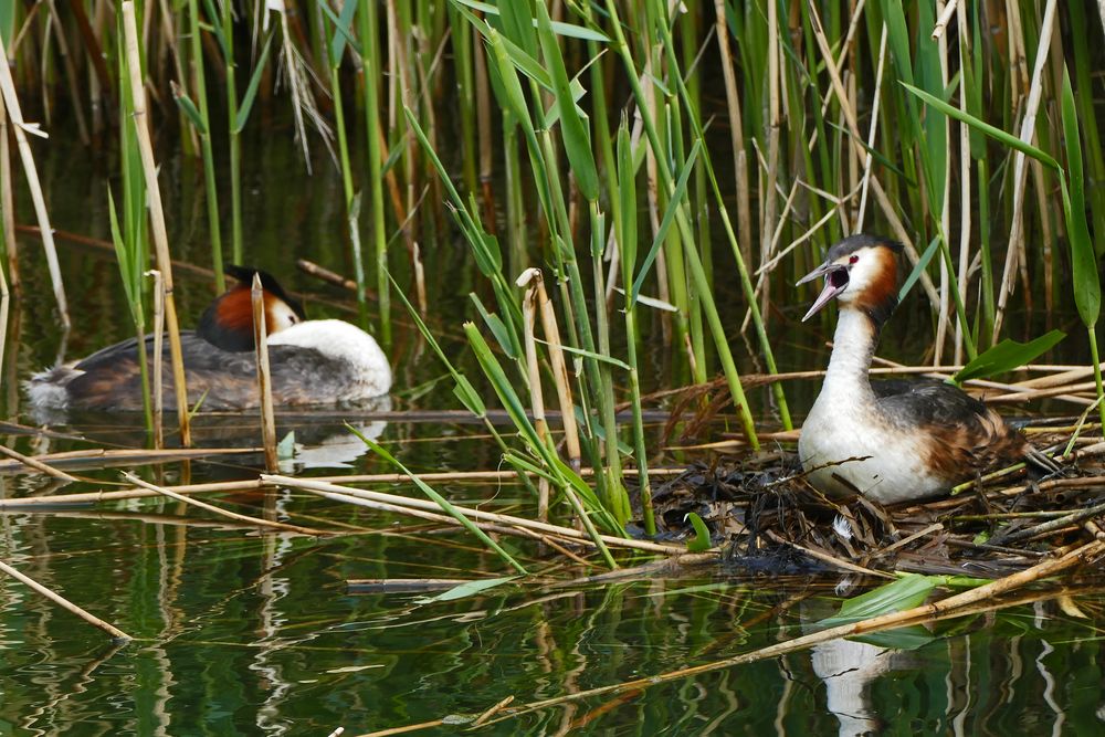 19_Klingnau Stausee 01 (20)