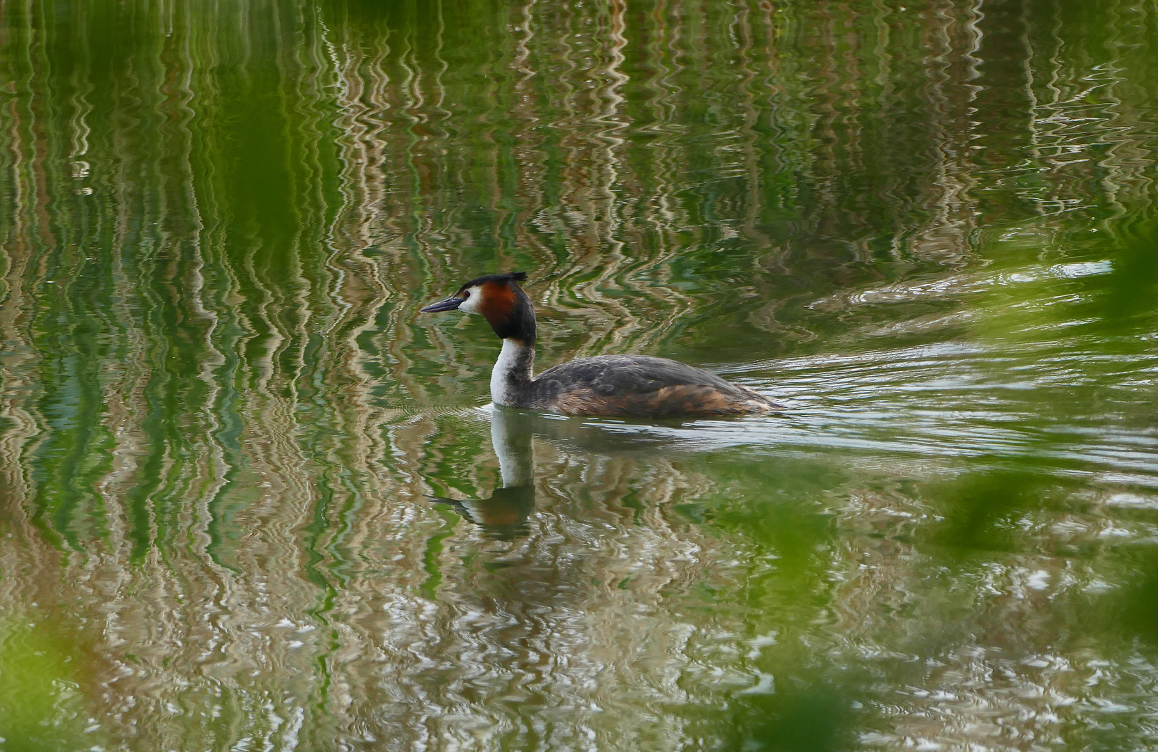 19_Klingnau Stausee 01 (45)