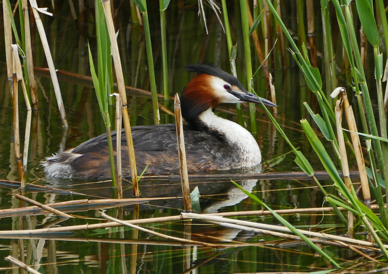 19_Klingnau Stausee 01 (9)