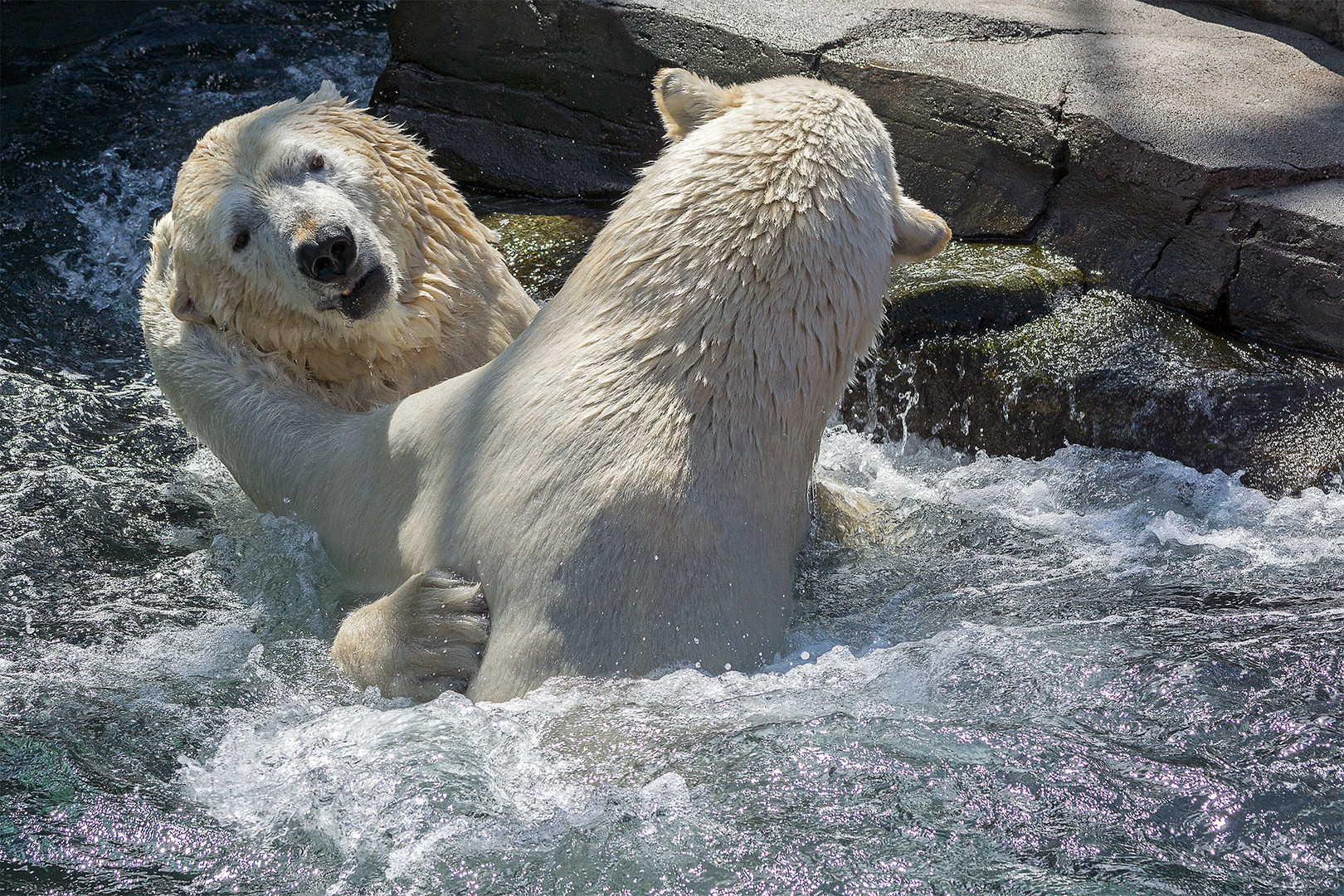 19_Zoo Hannover