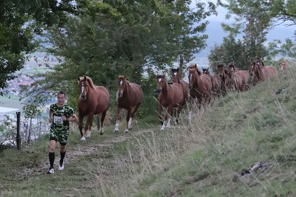 Angetrieben von 17 PS - Wildwest beim Berglauf von Joerg Oegerli