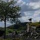 Verkehrskreisel Teilansicht: Hintergrund Katzenbuckel Odenwald