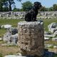 Der Hund von Paestum