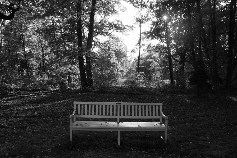 Bank im Schlosspark von Manuel Metzler 