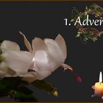 1.Advent 