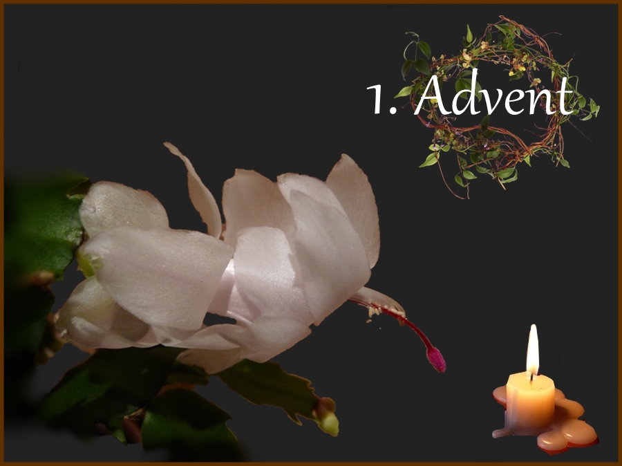 1.Advent 