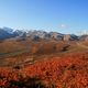 Denali im Herbst