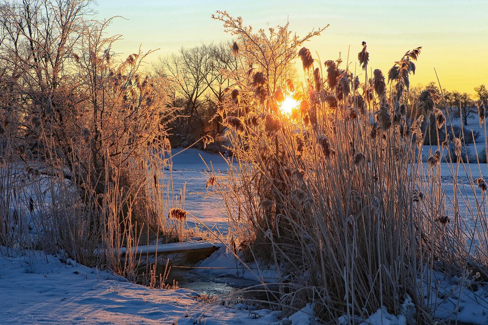 Winterspaziergang von Hardy 66