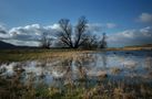 Naturpark Mecklenburgisches Elbetal