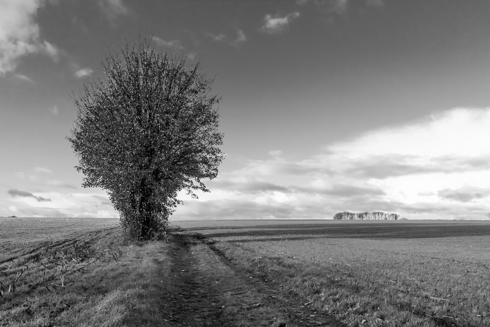 Herbst von Dietmar.H 