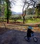 En Provence, à vélo ;))) de Dream30 