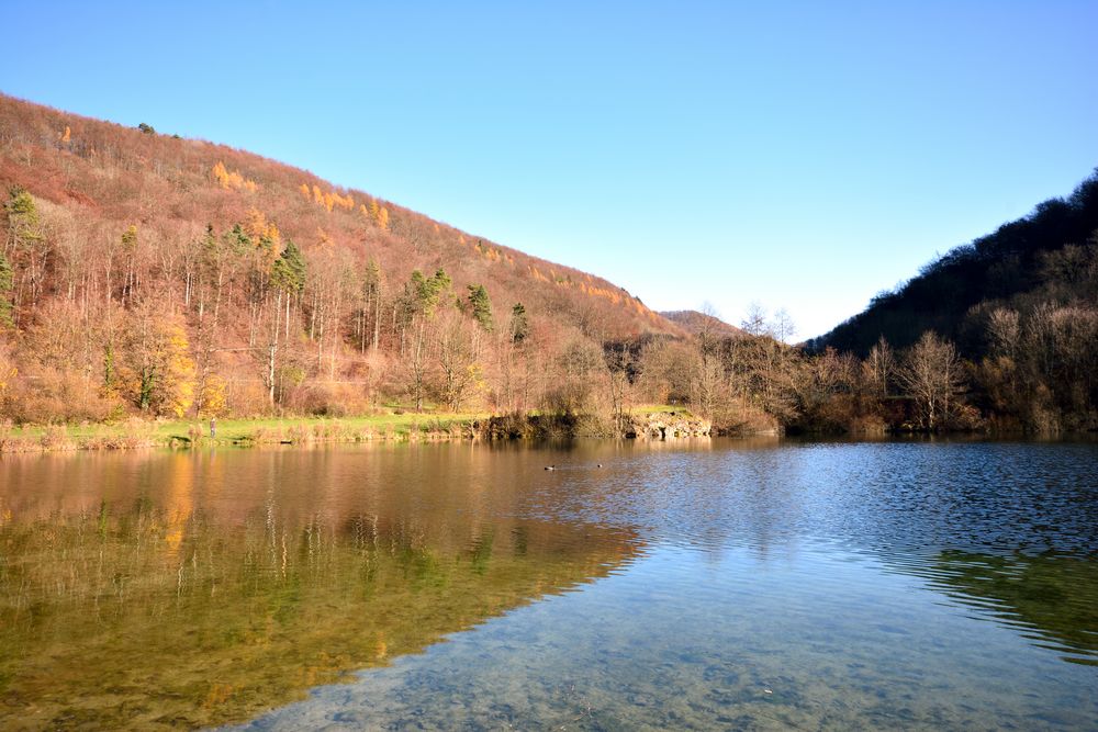 Lichter und Schatten von Franz Metzger