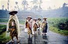 Java Dieng Plateau 1984 by DIAMINATOR