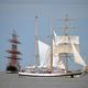 Die Pogoria bei der Sail 2015 in Bremerhaven