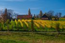 Herbst in der Südsteiermark by GuidoAustria