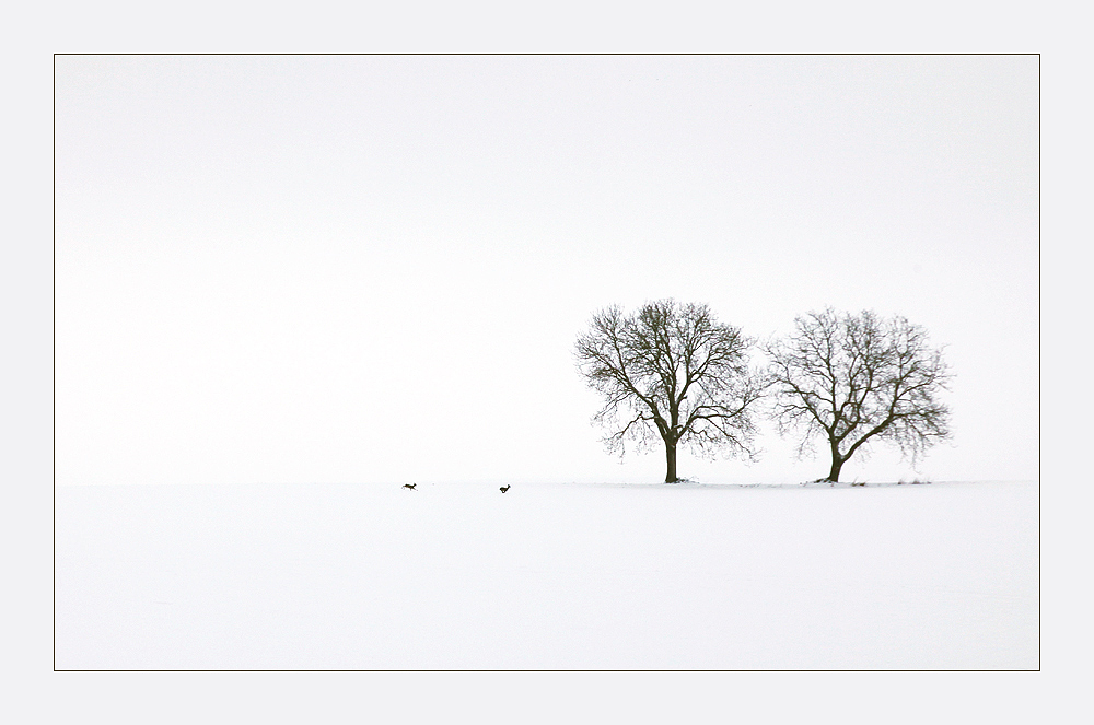 Winterland by Doris H 