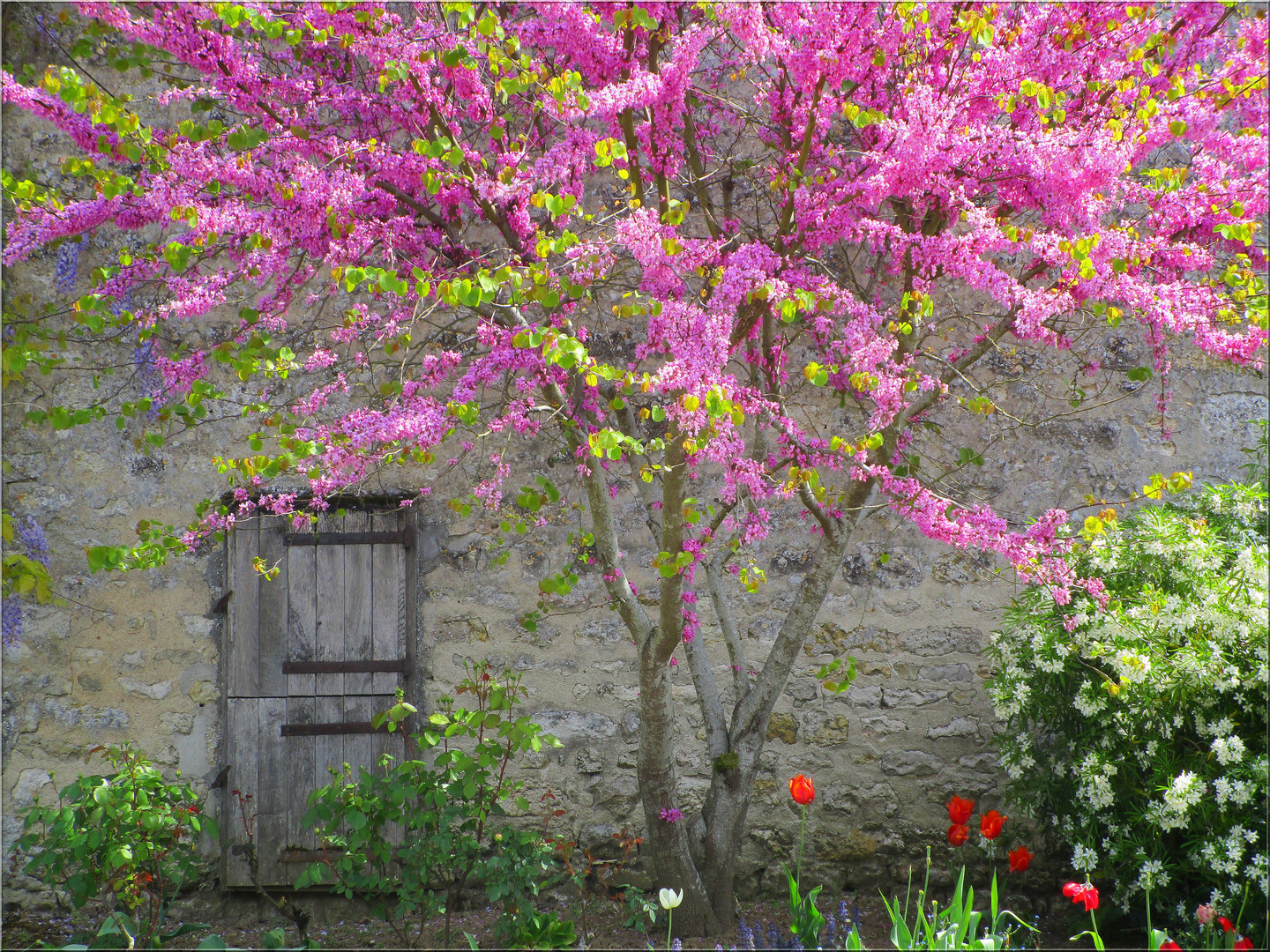 ..1er Mai à Yèvres le Châtel (45)