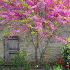 ..1er Mai à Yèvres le Châtel (45)