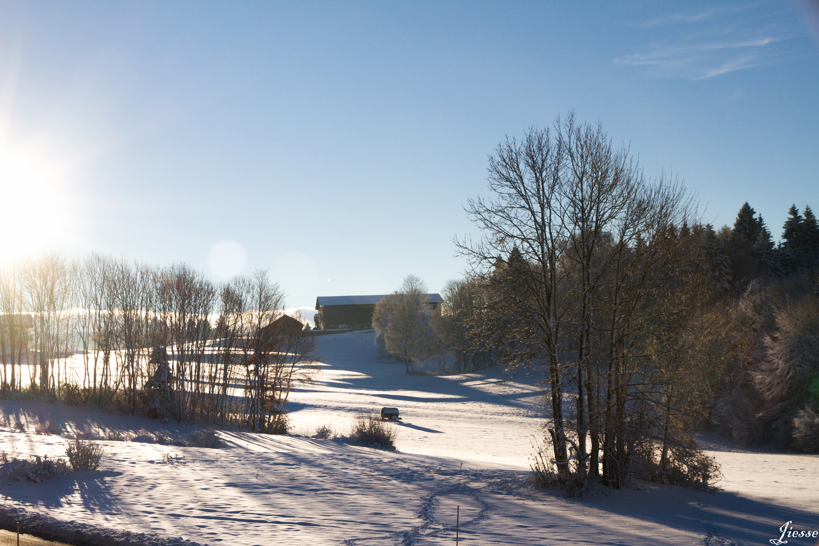 1ère neige