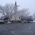 1ère Neige à LOURQUEN.........(40)