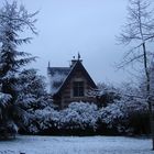 1ère neige au bois de Boulogne