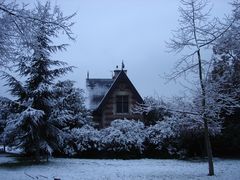 1ère neige au bois de Boulogne