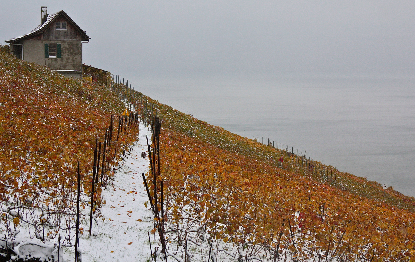 1ère neige