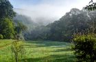 Morgennebel im August by peter claus