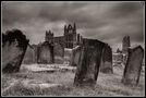 Dracula in Whitby von Alexander Vincent 