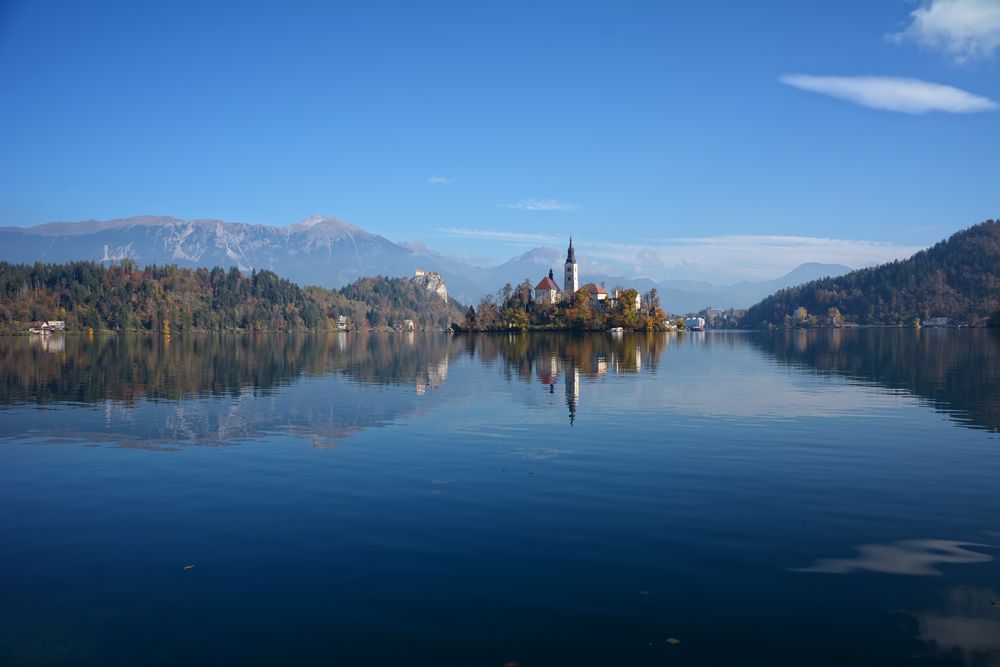 Bled  von Manfred Nager