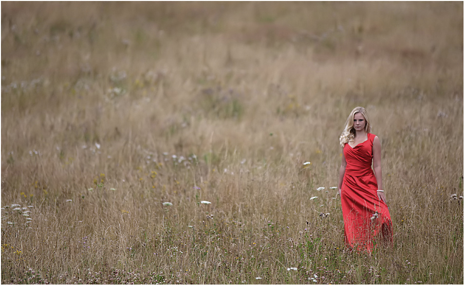 Rotes Kleid by Werner Hammerschmid 