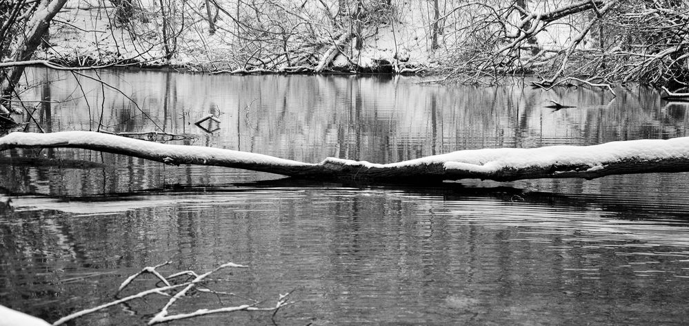 Winterlandschaft von Claudia Bahmed 