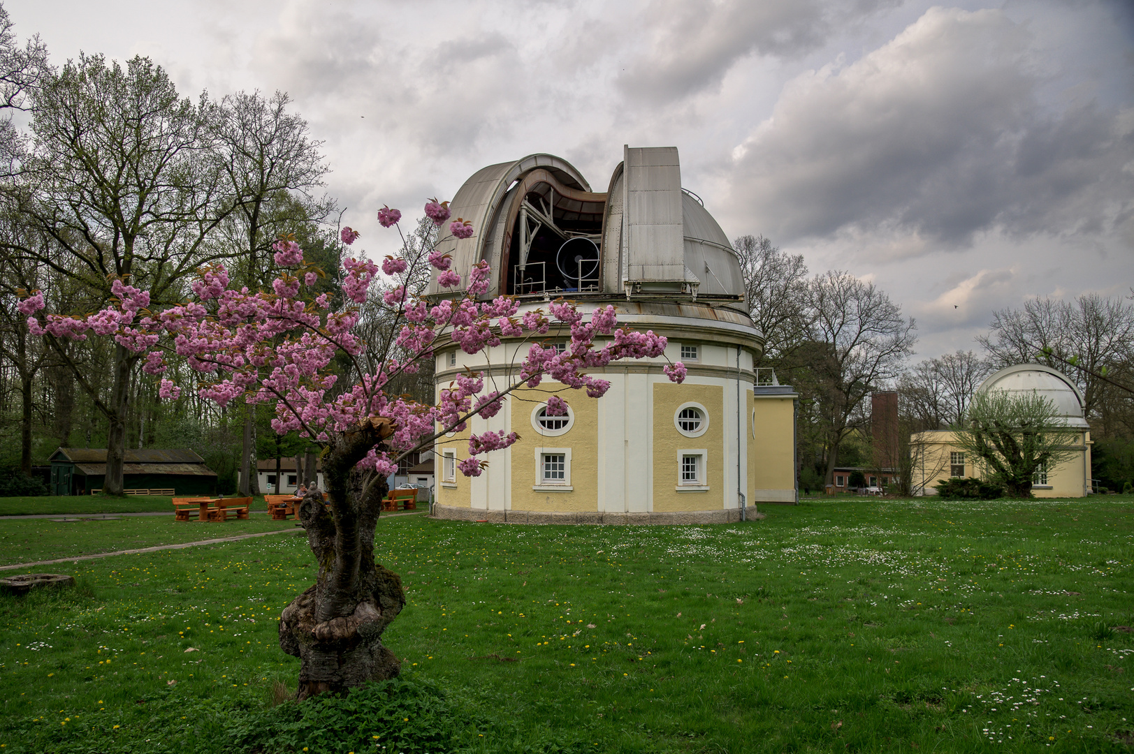 1m-Spiegel-Teleskop mit Kirschblüte