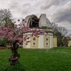 1m-Spiegel-Teleskop mit Kirschblüte