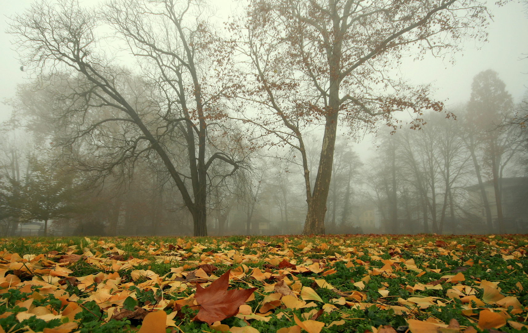 1oo % herbst