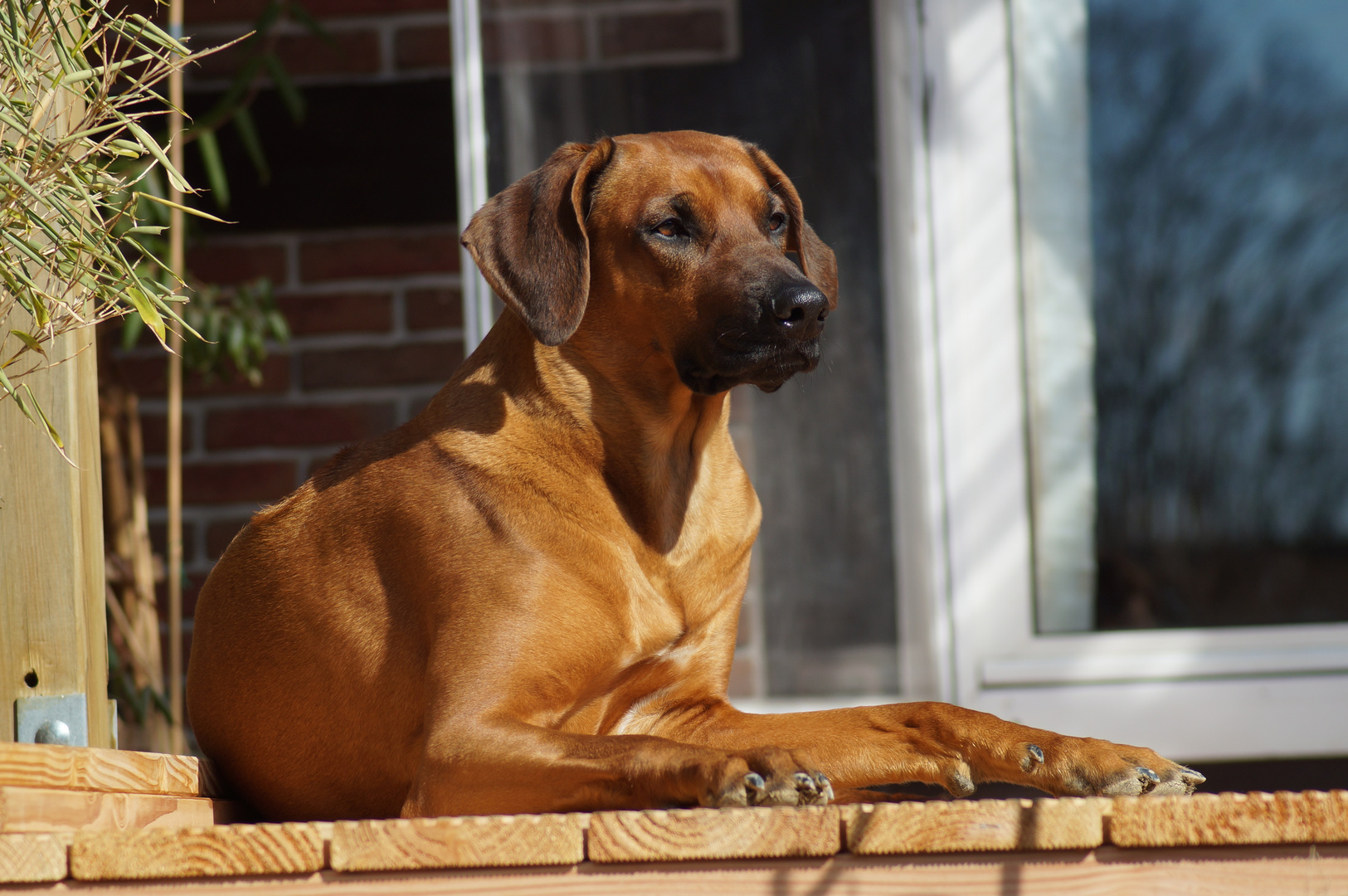 1.Sonnenbad 2013 auf der Terrasse