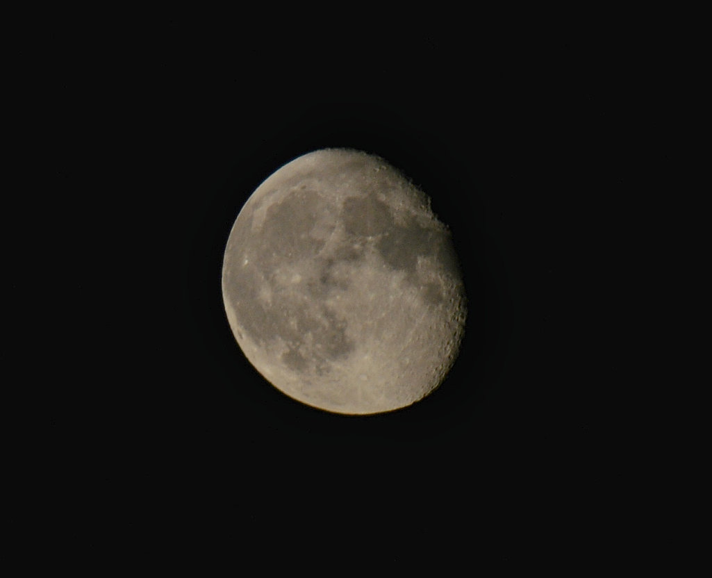 1st moon shoot