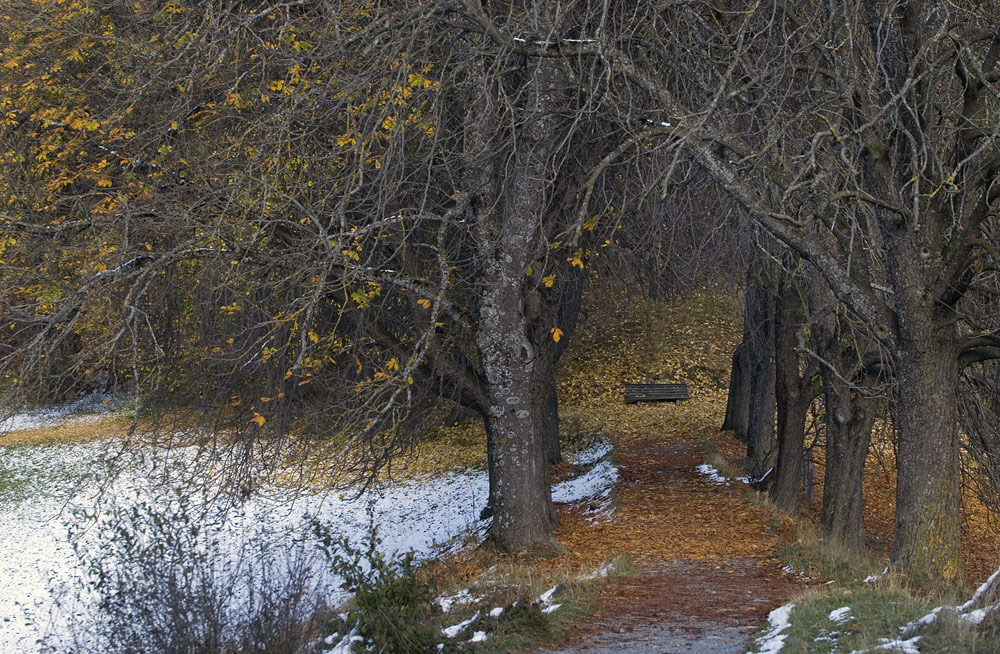 1st of November, first snow