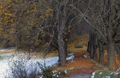 1st of November, first snow