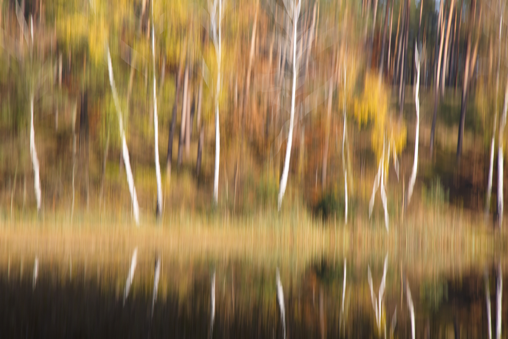 1.Versuch herbstlicher Waldsee