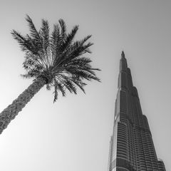 2 0 1 2 