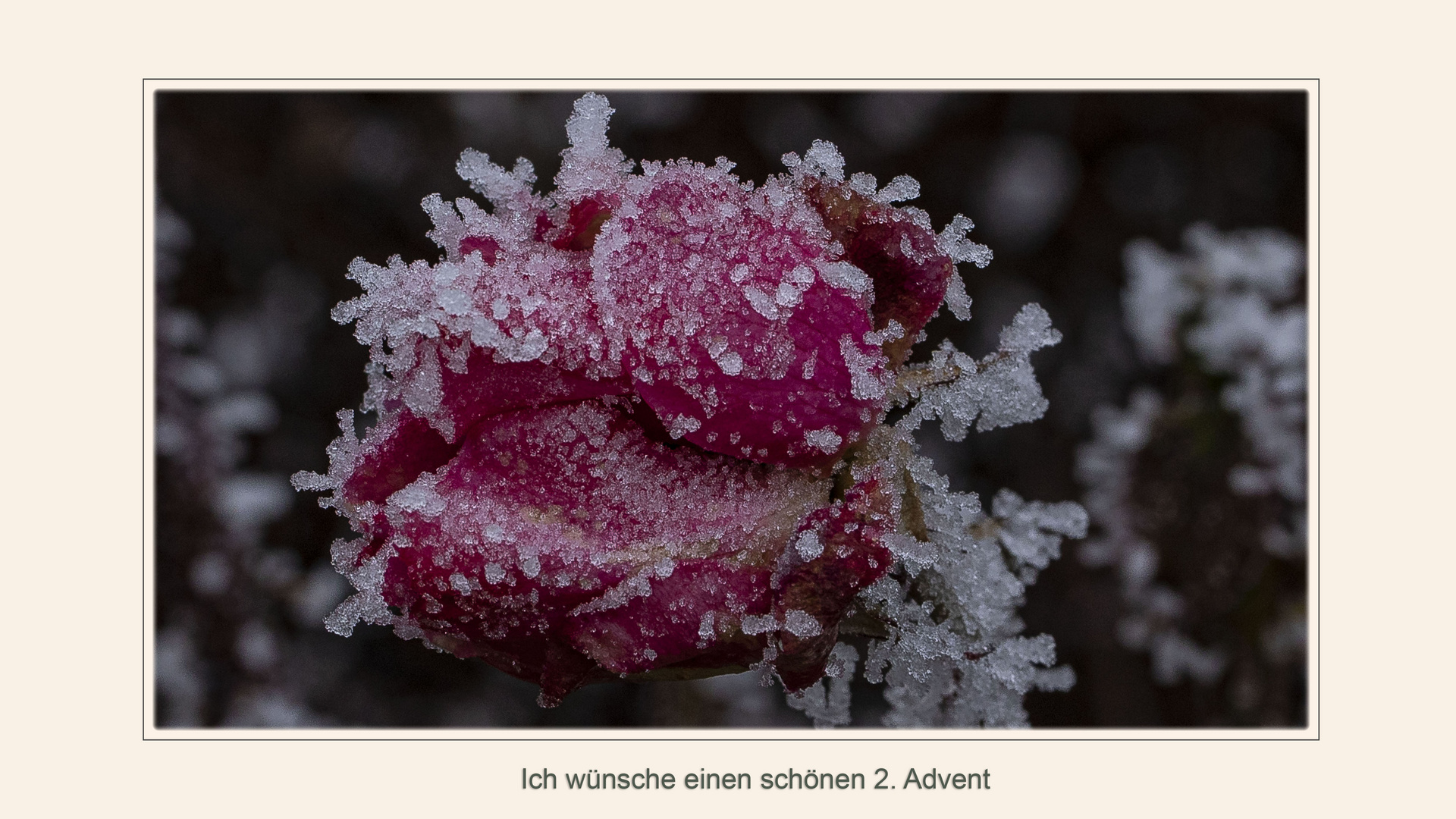 2. ADVENT