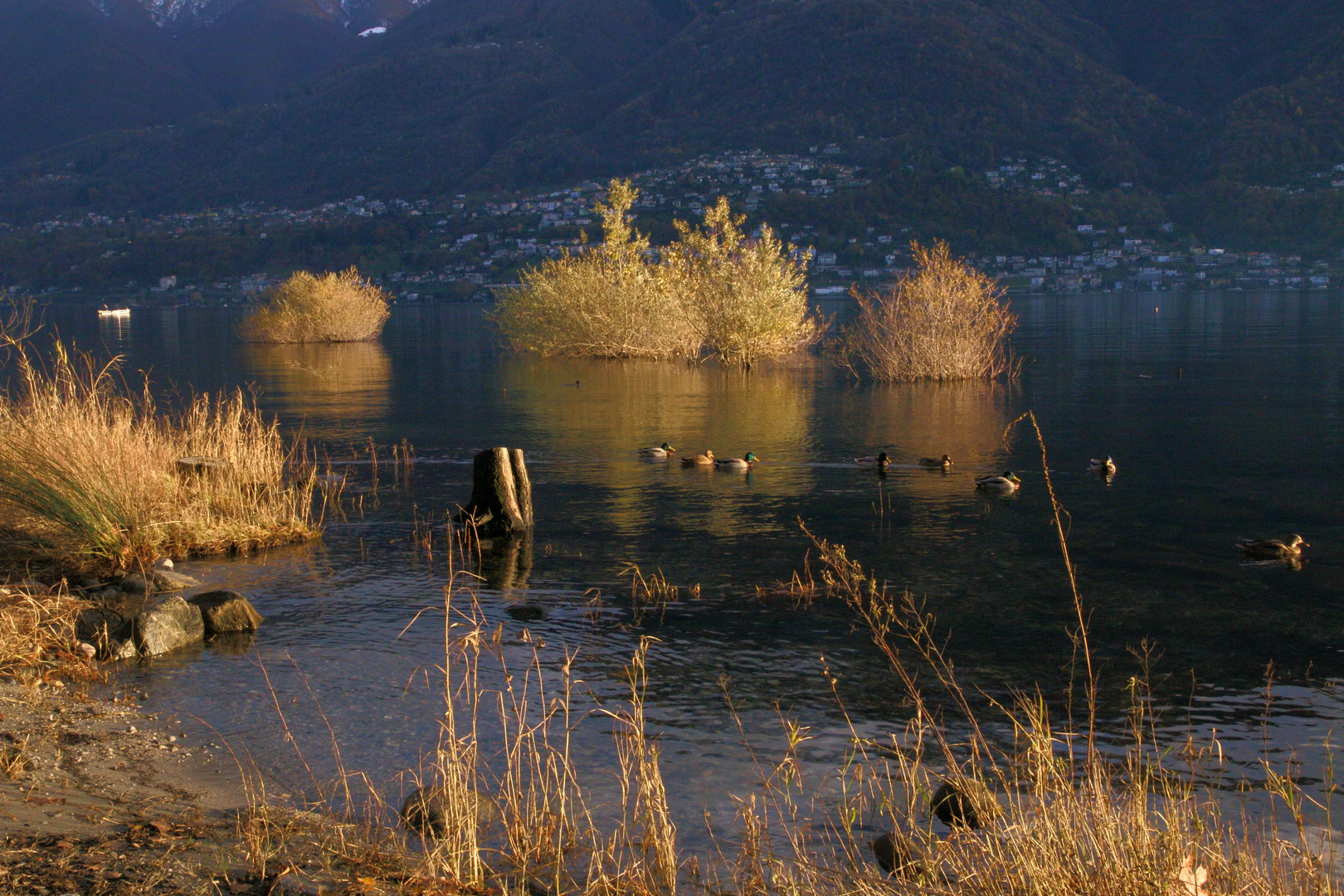 2. Advent am See......