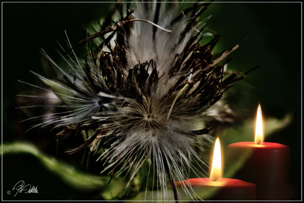 2. ADVENT