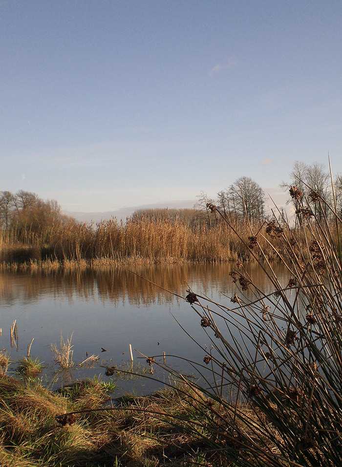 2. Advent-Picknick